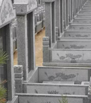 鹤壁祖坟墓地出现这种现象，大事不妙，千万要注意了！