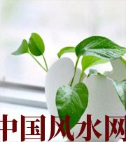 鹤壁家中摆放六种吉祥物，会打开您的财运大门！