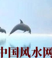鹤壁做梦梦到这些，是要富裕的征兆！